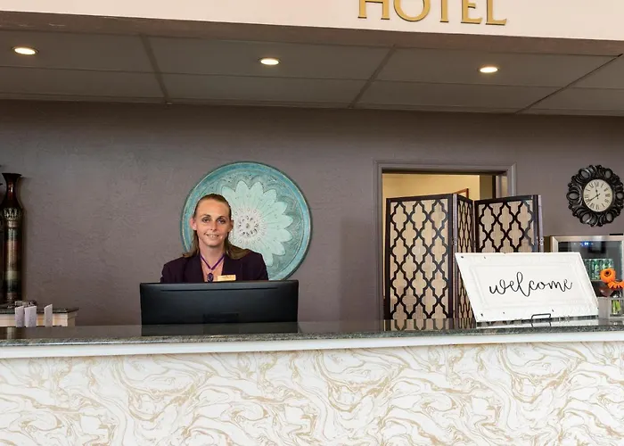 Forest Hotel