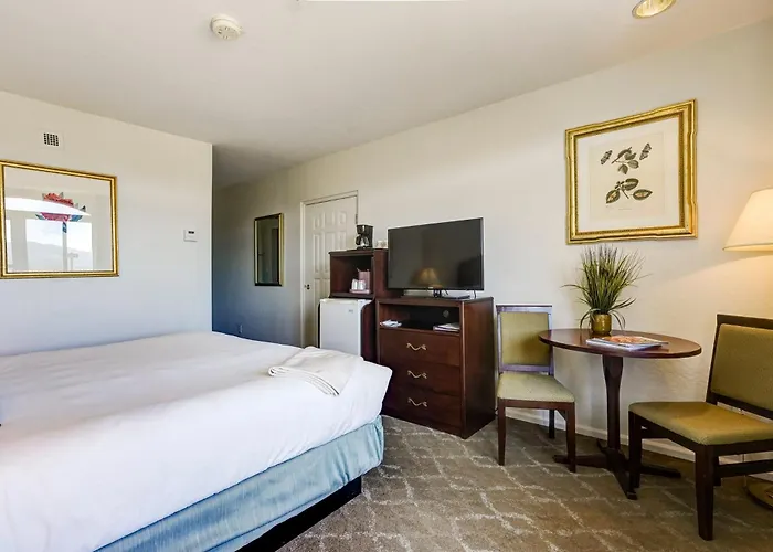 Hotel Forest 3*