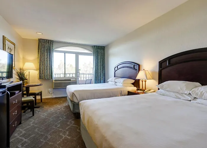 Forest Hotel 3*