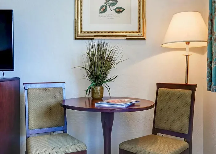 Hotel Forest 3*