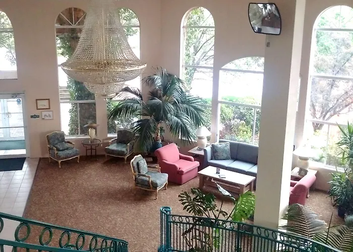 Forest Hotel
