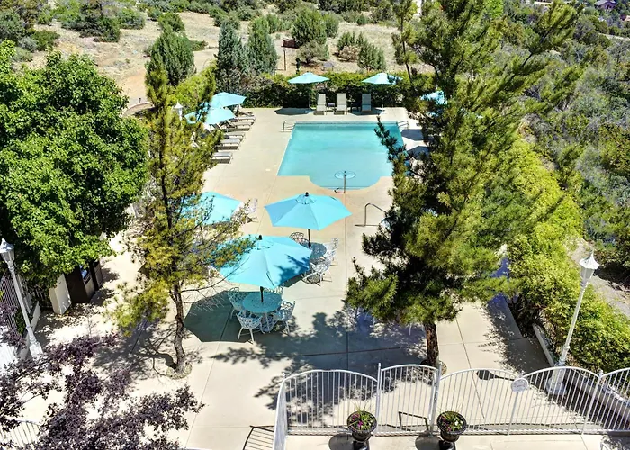 Forest Hotel