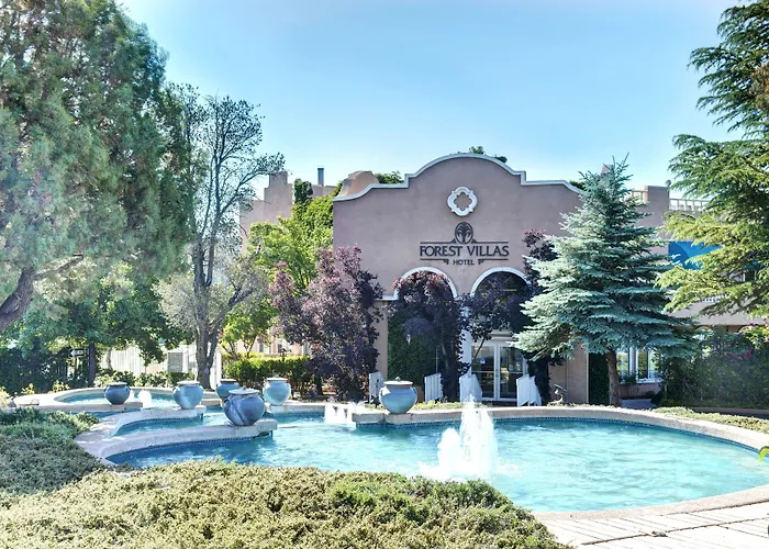 Forest Hotel 3*