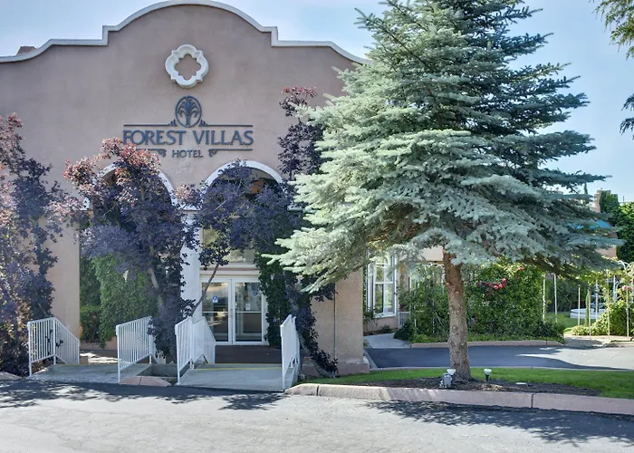 Hotel Forest 3*